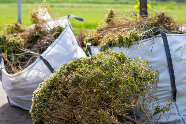 Best Junk Removal for Businesses  in Lordsburg, NM