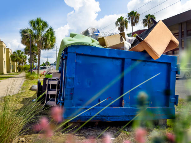 Yard Cleanup Services in Lordsburg, NM