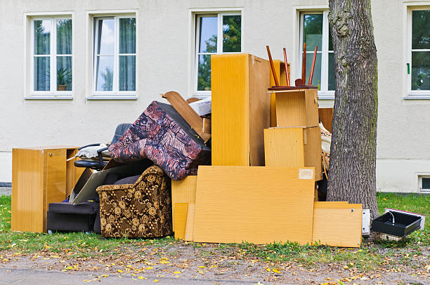 Best Yard Waste Removal  in Lordsburg, NM